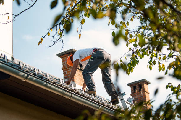 Quick and Trustworthy Emergency Roof Repair Services in Magnolia, AR